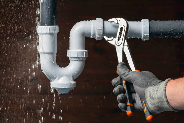 Professional Toilet Repair technician working in Charlottesville, VA